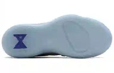 Nike PG 2 "Pure Platinum"