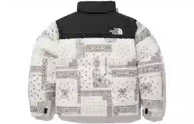 THE NORTH FACE 1996 Nuptse