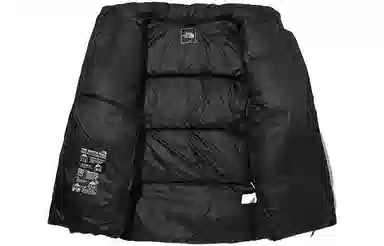 The North Face Tech Pack Air Down Jacket