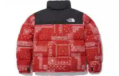 THE NORTH FACE Logo