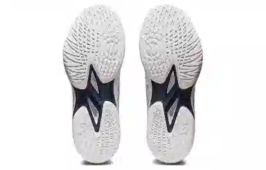 Asics Gel-Hoop V15