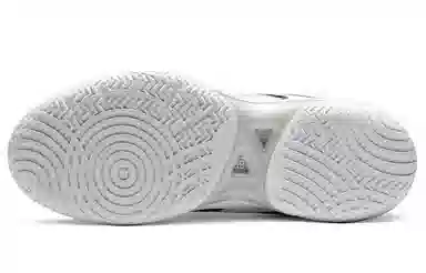 Asics Gel-Hoop V14