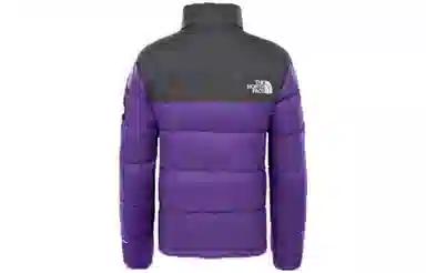 THE NORTH FACE 1992 Nuptse Jacket Tillandsia PrplAsphalt Grey