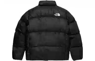 The North Face Tech Pack Air Down Jacket