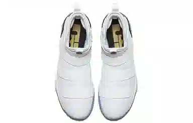 Nike Zoom Soldier 11 LeBron Court General