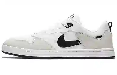 Nike SB Alleyoop