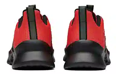 Anta