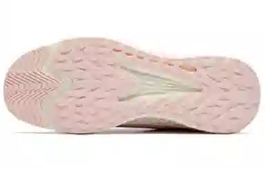 Anta