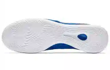 Nike Lunar Legend 7 Pro 10R IC