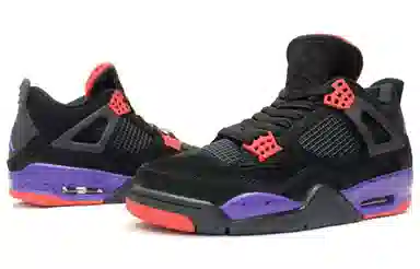 Jordan Air Jordan 4 Retro Raptors NRG