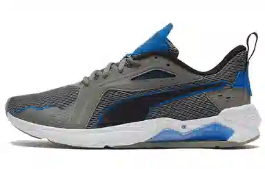 Puma Lqdcell Method