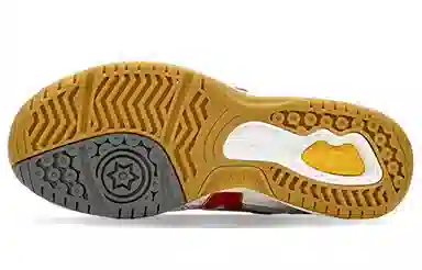 Mizuno School Indoor