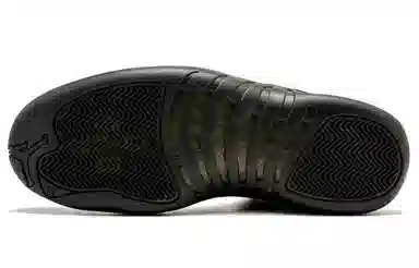 Jordan Air Jordan 12 Retro OVO Black 2017