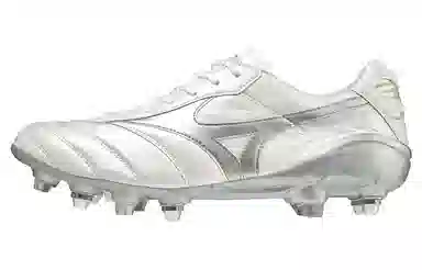 Mizuno Morelia