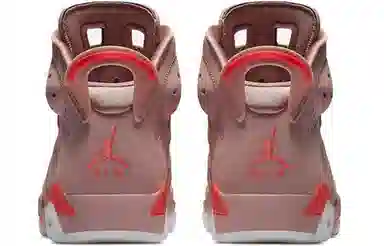 Jordan Air Jordan 6 Retro Aleali May