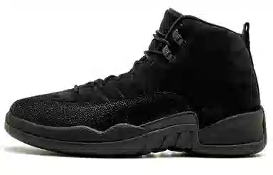 Jordan Air Jordan 12 Retro OVO Black 2017
