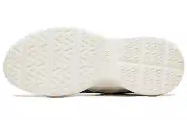 Anta