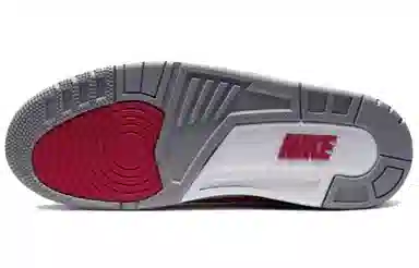 Jordan Air Jordan 3 Retro SE "Red Cement"