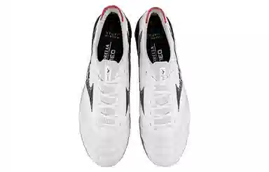Mizuno