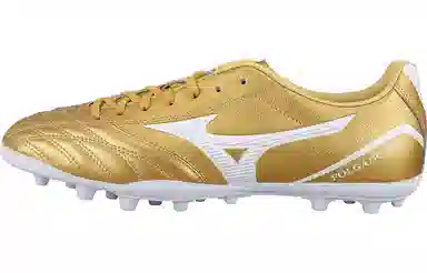Mizuno Kl AG