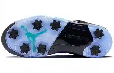 Jordan Air Jordan 5 Low Golf "Black Grape"