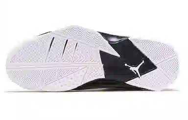 Jordan True Flight Cool Grey