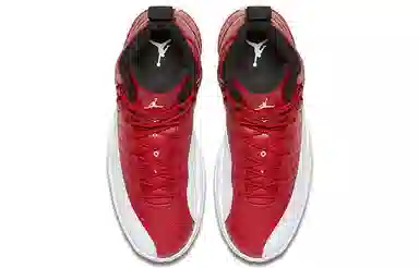 Jordan Air Jordan 12 Retro Gym
