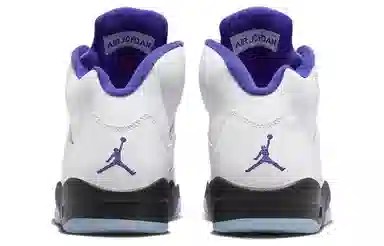Jordan Air Jordan 5 retro "concord"