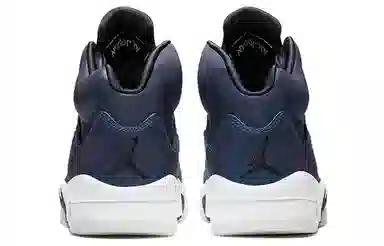 Jordan Air Jordan 5 "Oil Grey 3M"