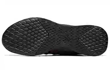 Anta