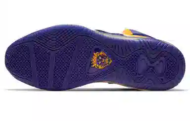 Nike Lebron 8 QS "Hardwood Classics"