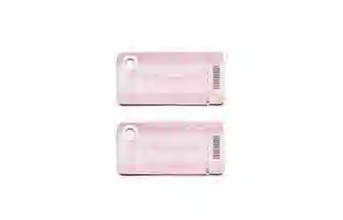 Jordan Air Jordan 1 Low FZBB GS