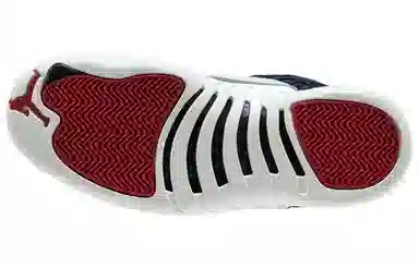 Jordan Air Jordan 12 International Flight BV8016-445