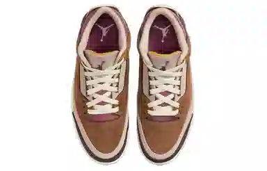 Jordan Air Jordan 3 Retro SE "Archaeo Brown"