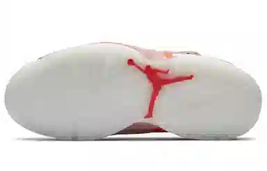 Jordan Air Jordan 6 Retro Aleali May