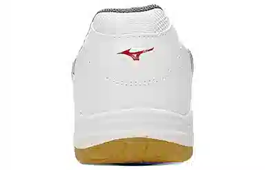 Mizuno School Indoor