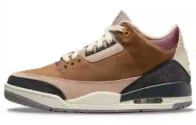 Jordan Air Jordan 3 Retro SE "Archaeo Brown"