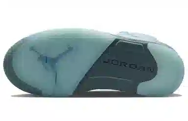 Jordan Air Jordan 5 retro "bluebird"