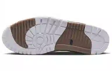 Nike Air Trainer 1 "Ale Brown"