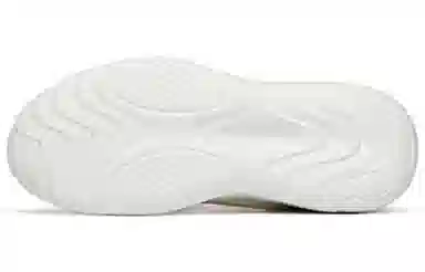 Anta