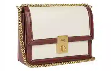 COACH Hutton 22 Logo