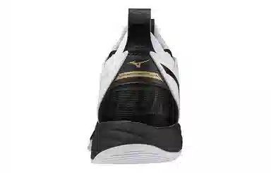 Mizuno Wave Momentum 2