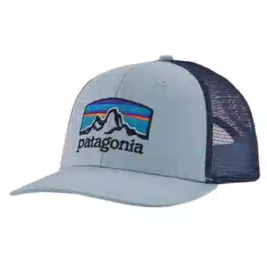 patagonia Logo
