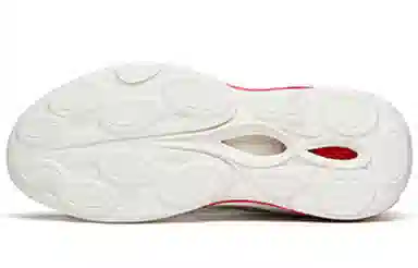 Anta