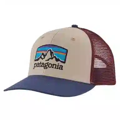 patagonia Logo
