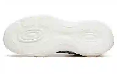 Anta