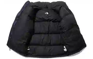 THE NORTH FACE 1996 Eco Nuptse Jacket Logo
