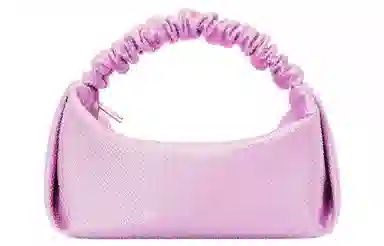 Alexander Wang Scrunchie Mini Bag