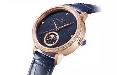 Sea-Gull 310.15.1136L