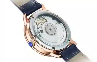 Sea-Gull 310.15.1136L